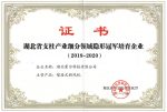 Kinghonor won the “Invisible Champion Enterprise in the Pillar Industry Segmentation of Hubei Province”